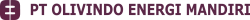 logo oem